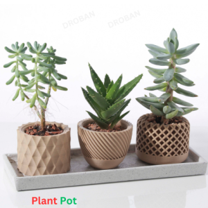 3D Printed Plant Pot in Bangladesh | Modern Indoor Planter