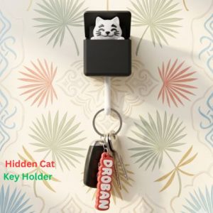 3D printed hidden cat key holder wall mounted